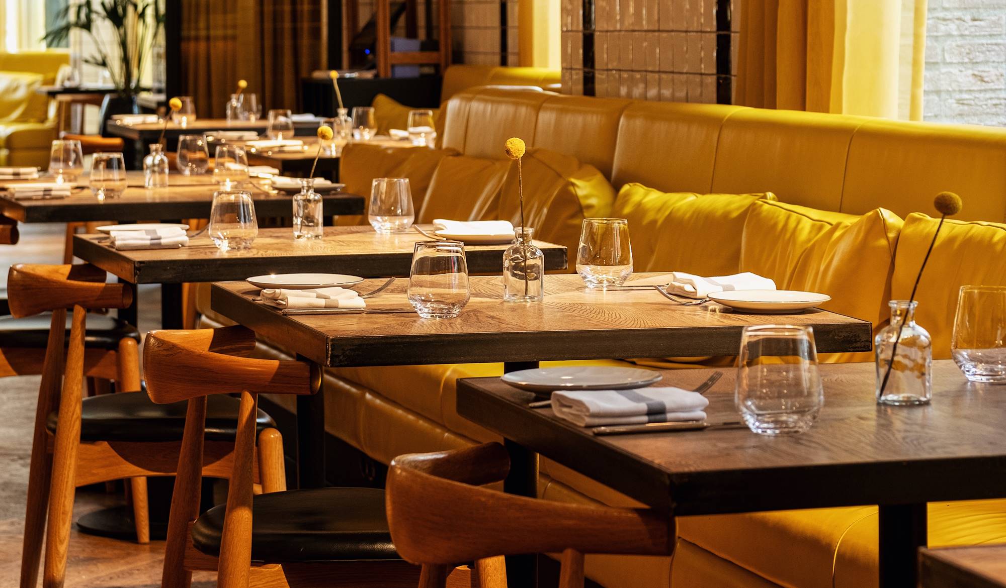 A spacious dining area with multiple tables, yellow cushions, wooden furniture and natural light at Celia.